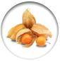 Physalis